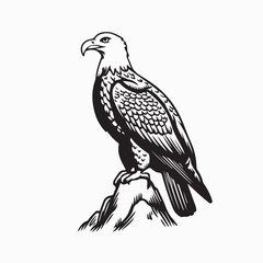Eagle vector icon. A large wild bird eagle flies with outstretched wings. Vector drawing linear sketch isolated on white background.