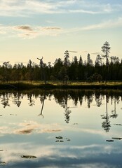 Serene lake at sunset. The calm water reflects the sky and trees