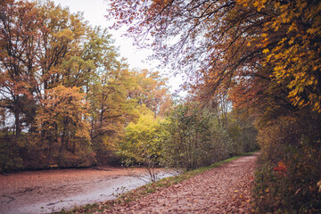 Obraz premium view of a lake in an autumn park through the foliage of trees