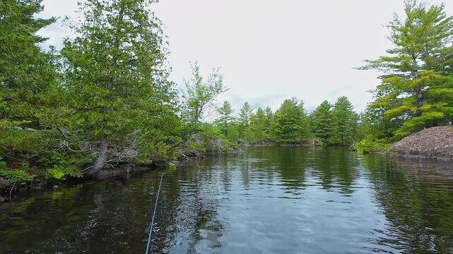 Catch and release fishing game sport of bass fish on the lake in Canada. Hobbies lifestyle fishing in the early morning. Angler casting lure with rode to the lake water.