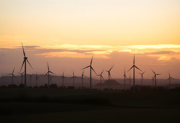 Obraz premium Wind turbines dotting a rural landscape at sunrise