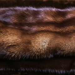Mink Fur Texture, Animal Hide Pelt Skin Graphic, Nature Hair Pattern