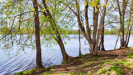Tranquil lake surrounded by lush greenery under a bright blue sky in spring