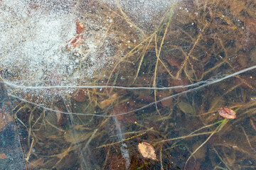 Transparent thin ice covered the swamp with yellow autumn grass in winter