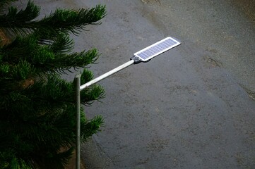 Lampa solarna oświetlająca ulice. Drzewo i lampa solarna dająca światło w nocy. © Adam