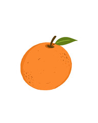 Orange illustration cartoon