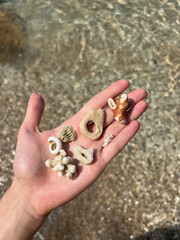 Vibrant Thailand: golden temples, lush jungles, bustling markets, and serene beaches. A blend of rich culture, stunning landscapes, and warm hospitality.