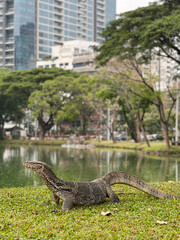 Vibrant Thailand: golden temples, lush jungles, bustling markets, and serene beaches. A blend of rich culture, stunning landscapes, and warm hospitality.