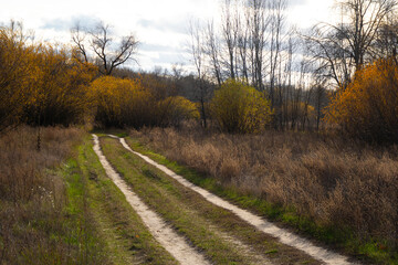 Paths-stitches on the autumn meadow. 
Walking on the meadow path in autumn.