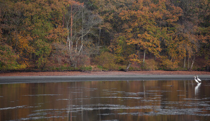 Thülsfelder Talsperre Germany