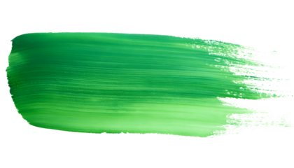 Green paint brush isolated on white background PNG transparent.