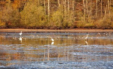 At the Thülsfeld dam in Germany