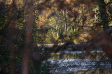 Autumn colors at the Thülsfelder Dam, Germany