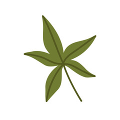Cute hand drawn autumn leaf, cartoon flat vector illustration isolated on white background. Simple green fall leaf, nature design element.