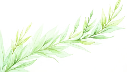 Fototapeta premium Delicate watercolor illustration of green leafy branch on white background