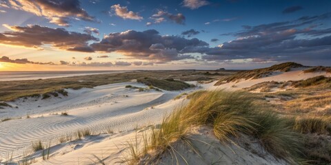 Soft Warm Light Illuminates Undulating Sandy Dunes at Sunset Creating a Serene Desert Landscape