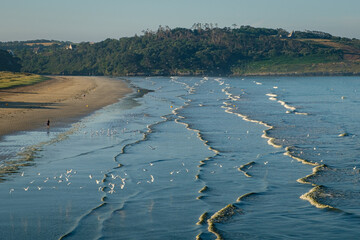 La plage et les mouettes