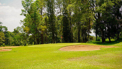 Fototapeta premium Green grass and woods on a golf field. View of Golf Course with beautiful putting green.