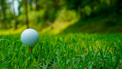 Close-up of golf ball on tee in beautiful golf course at sunset background.
