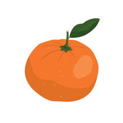 Whole tangerine or mandarin fruit. Citrus icon. Vector illustration of tropical exotic fruit in flat style. Sweet, ripe, fresh fruit. Isolated on white background