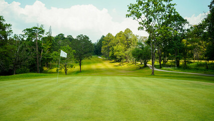 Green grass and woods on a golf field.