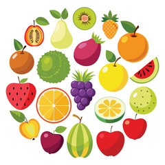 fruits set vector