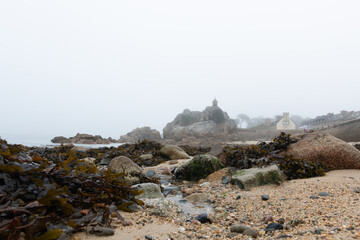 Obraz premium Brume matinale d'automne à Port-Blanc Penvénan - Bretagne