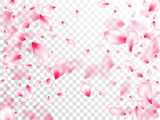 Spring blossom isolated petals flying on transparent background. Japanese cherry flower parts falling vector pattern. Realistic peach flolwer petals natural decor. Postcart background.
