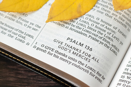 Psalm 136 for giving thanks to God Jesus Christ about His mercy and blessing in open holy bible book with autumn leaf. Close-up. Christian biblical concept.