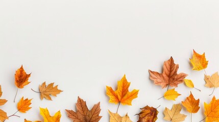 Fototapeta premium Pile of autumn leaves isolated on white background 