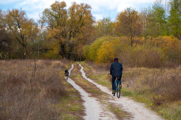 Fototapeta premium Bicycle paths on the autumn meadow. Walking on the meadow path in autumn.
