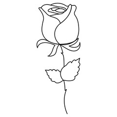 Rose flower continuous one line drawing  outline vector illustration minimalist design valentines day icon 