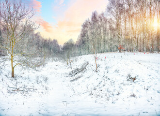 Amazing landscape with snow-covered trees in the city park.