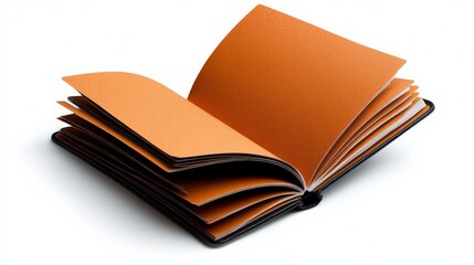 Open Book, Blank Pages, New Beginnings 