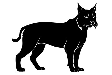 black bobcat silhouette vector on white background, Bobcat Silhouettes Vector Animal Illustration on White Background ,bobcat silhouette vector illustration Symbole.