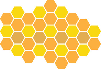 Hexagon Cell Honey