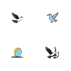 Seagul bird logo icon vector