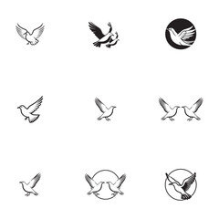 Seagul bird logo icon vector