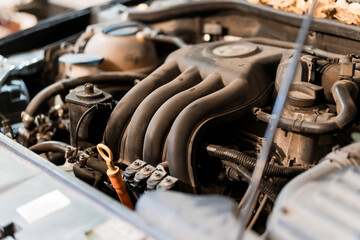 Close-up View of an Automotive Engine Exposed in a Car's Hood