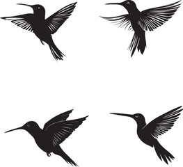 Obraz premium Silhouette of hummingbird hovering animals vector