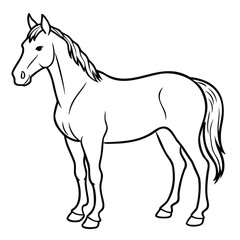 Line Drawing of a Horse