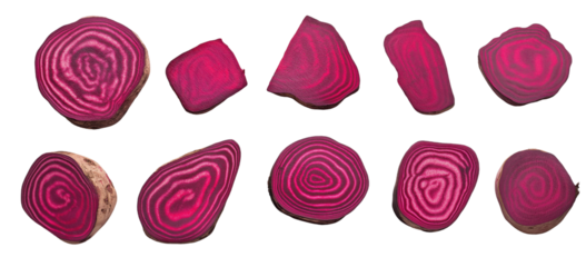 Unique organic beet slices with intricate patterns for culinary design and spring themes - png set transparent background