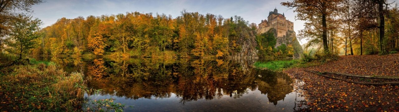 autumn in the forest