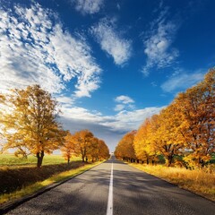 a rural country road runs among autumn trees against a blue sky and white clouds