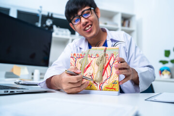 An expert dermatologist is using a skin model to explain or giving a consultation about skin rash, allergy or dermatology condition to patient. A professional doctor diagnose about skin problem.