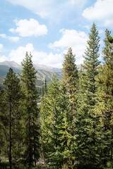 Breckenridge, Colorado