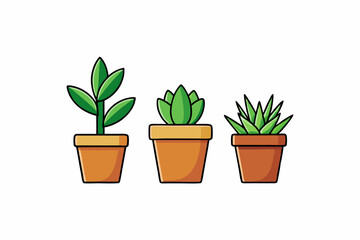 Potted plant for indoor vector illustration on white background.