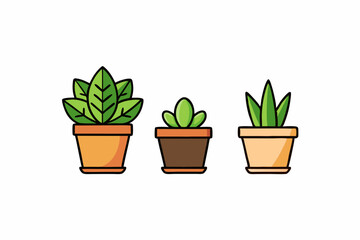 Potted plant for indoor vector illustration on white background.