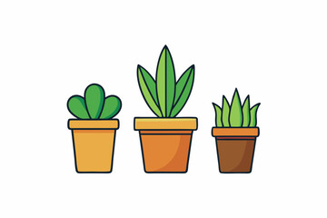 Potted plant for indoor vector illustration on white background.