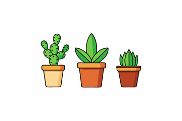 Potted plant for indoor vector illustration on white background.